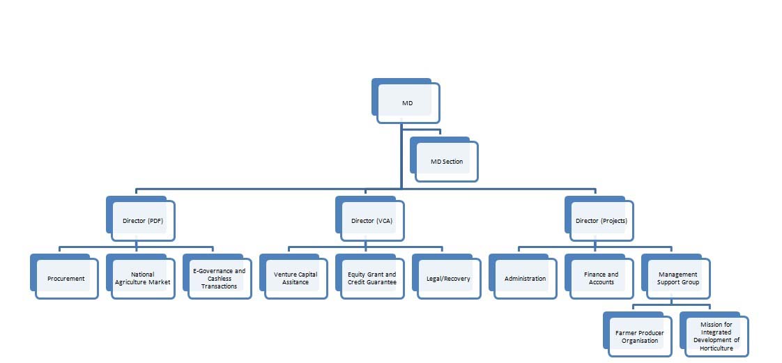 Organisation Structure