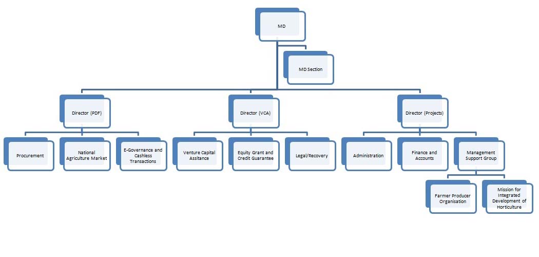 Organisation Structure